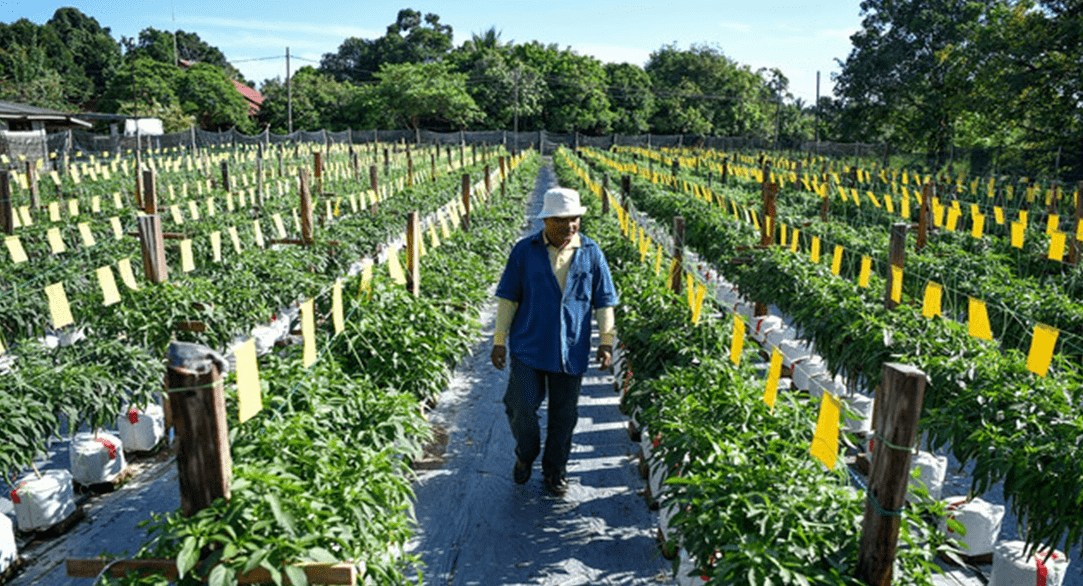 Agriculture