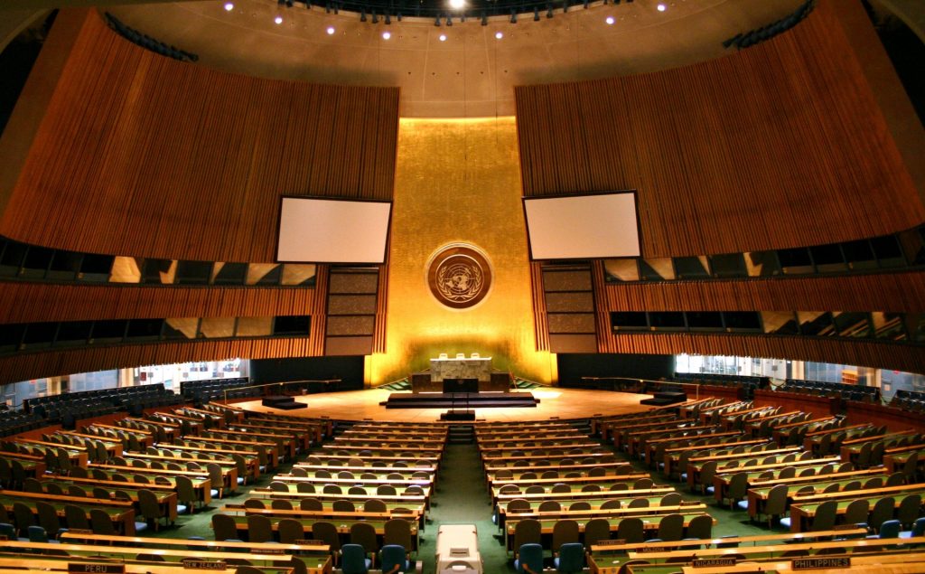 human rights council