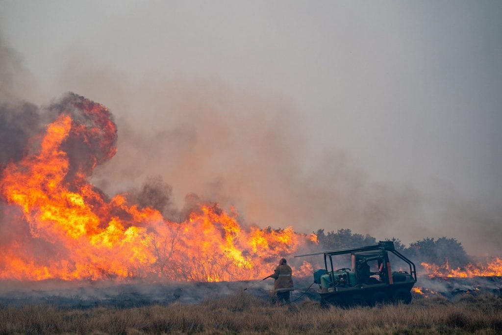 wildfires