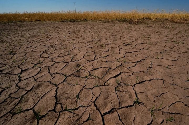 El Niño