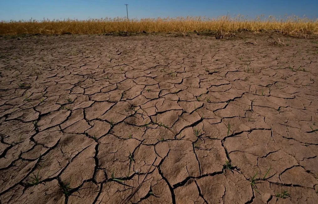 El Niño
