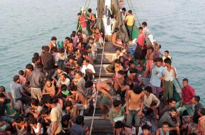 rohingya