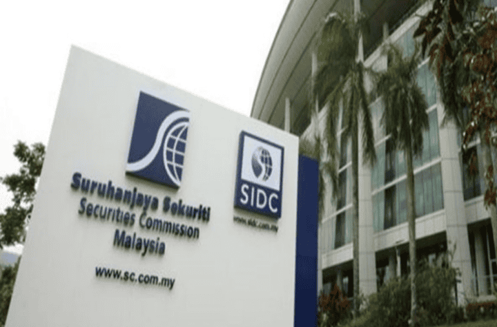 corporate governance ecosyste