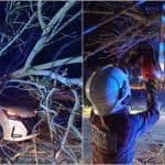 Six, Including Two Children, Escape Unhurt as Fallen Tree Crushes Car in Jasin
