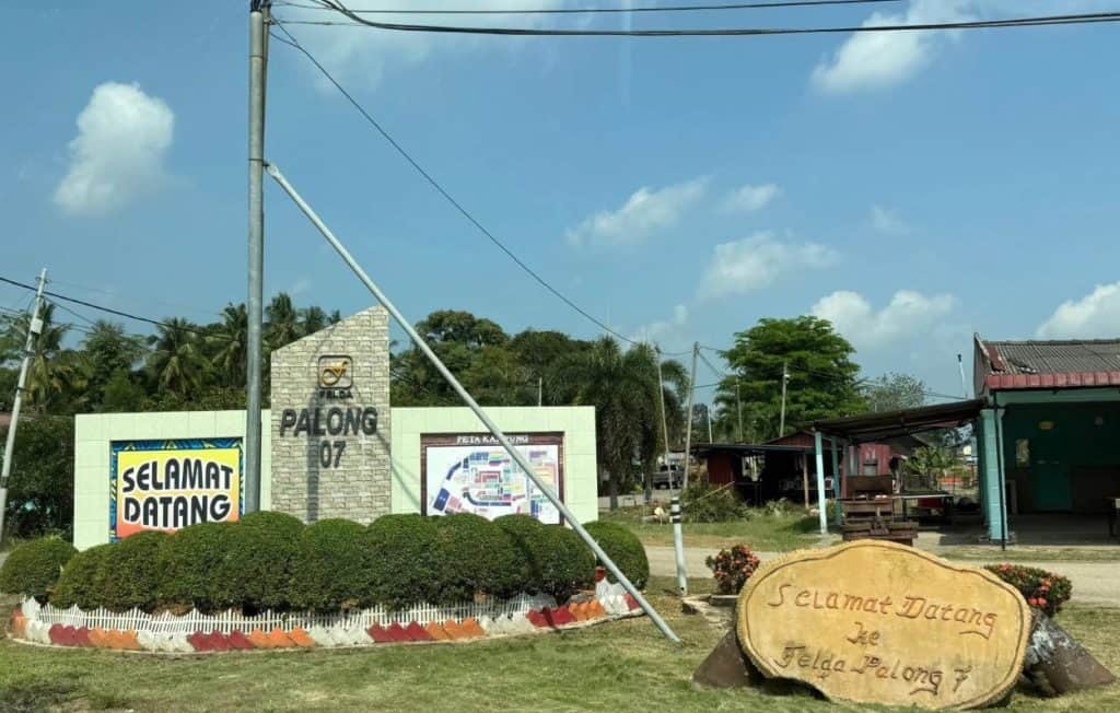 felda palong 7 replanting programme macc