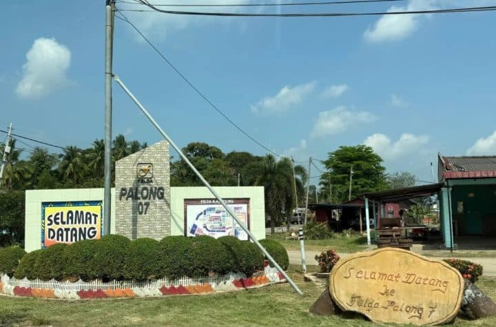 felda palong 7 replanting programme macc