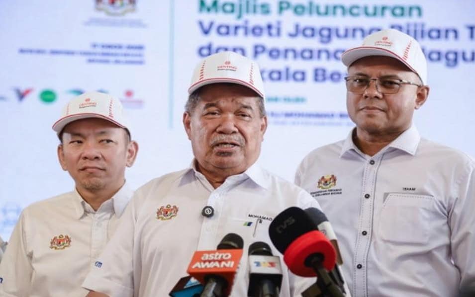 mohamad sabu local grain maize production