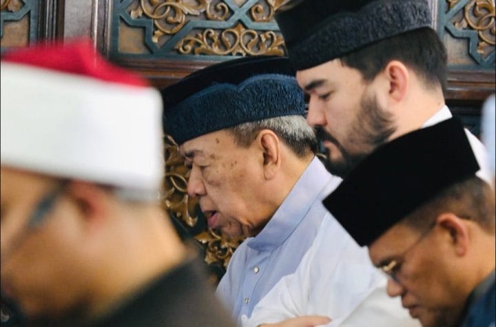 sultan of selangor stray animals