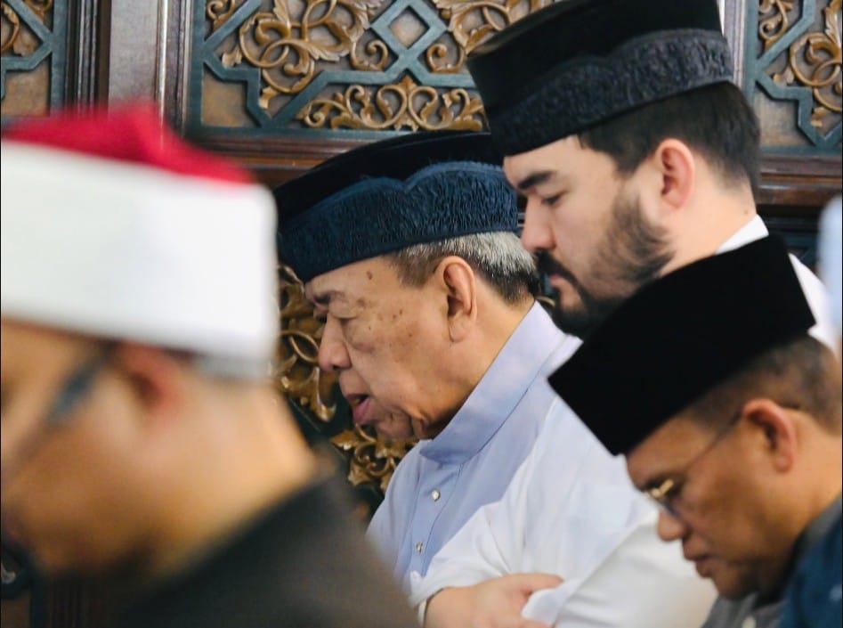sultan of selangor stray animals