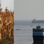 Global Fertilizer Shortage Worsens as Strait of Hormuz Shipping Crisis Deepens, Says UN FAO Official