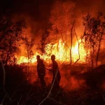 Indonesia Disburses US$68 Million In Central Aid To Combat Wildfires And Support Public Health