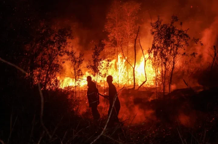 Indonesia disburses US68 million forest fires Sugiono
