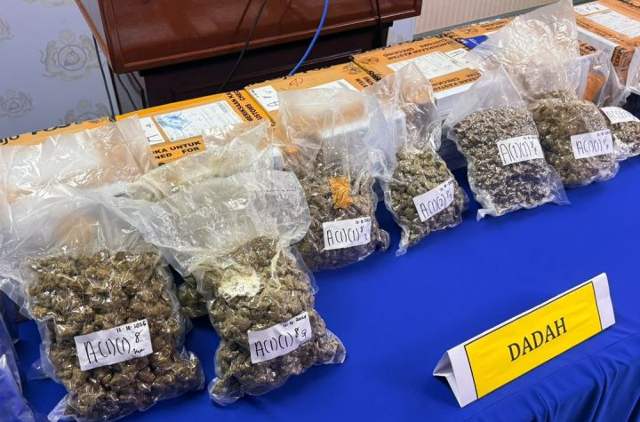 KLIA Customs cannabis flowers ketamine seizure Sepang