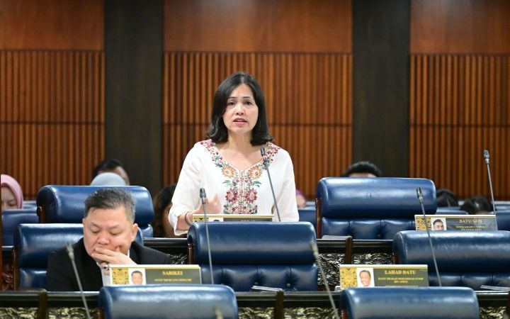 MCMC online posts removed false information Teo Nie Ching